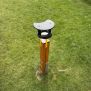 Miniaturka Magnifying glass (4)